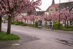 Marktplatz, März 2017